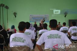 PT Timah jadikan Desa Paku sebagai daerah sentra produksi cabai di Babel
