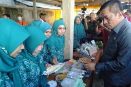 Wabup Karawang: Pemkab serius tingkatkan potensi UMKM