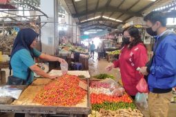 Harga cabai di Pontianak turun Rp15.000 per kilogram