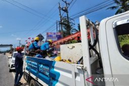 Pasang cover fuse cut out gardu, PLN amankan jaringan dari gangguan hewan