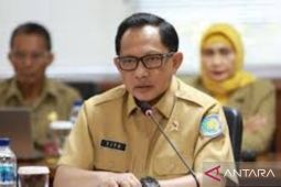 Ketersediaan pangan aman hingga akhir tahun, ini arahan Menteri Tito Karnavian