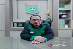 Kasus DBD di Tanah Bumbu terus melandai