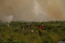 BMKG tetap mengimbau masyarakat waspada karhula dan hujan petir