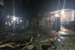 BPBA: Petugas masih lakukan pendataan korban dampak banjir Beutong Ateuh
