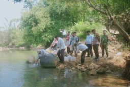 Diskan Sukabumi gencar aksi pelepasliaran benih ikan ke sungai