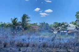 Karhutla di Desa Tatakan Tapin nyaris jangkau pemukiman