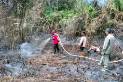 56 titik panas terdeteksi di wilayah  Kalimantan Timur