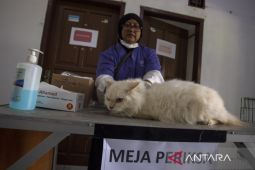Vaksin rabies gratis di Indramayu