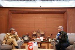 Ribuan rumah warga desa di Kalbar akan nikmati listrik PLN tahun ini