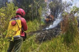 BB TNBTS kerahkan tim tangani kebakaran di Savana Bromo