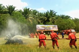 Pemprov Kalteng minta perusahaan perkebunan bantu atasi karhutla