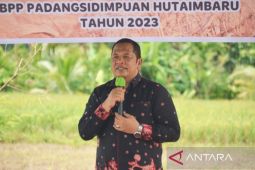 Pemkot Padangsidimpuan edukasi  petani kembangkan pertanian organik