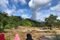 Pertanian di Aceh rugi Rp1 miliar akibat banjir bandang Nagan Raya