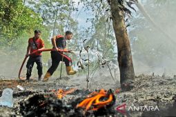 Perlu menghidupkan kembali "batin hutan" untuk cegah karhutla