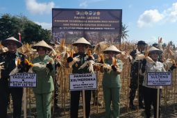 Kodam XIII/Merdeka dan Pemerintah Kabupaten Donggala sinergi jaga ketahanan pangan