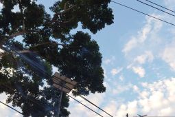 BMKG: cuaca di Pangkalpinang hari ini diprakirakan cerah berawan