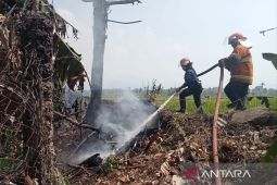 Damkar catat sebulan terakhir ada 22 kasus kebakaran lahan di Cianjur
