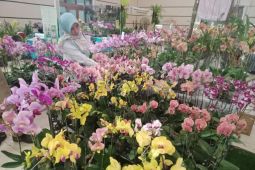 Hamparan potensi dan peluang ekonomi di Festival Anggrek - Video