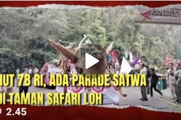 HUT ke-78 RI, ada parade satwa di Taman Safari loh