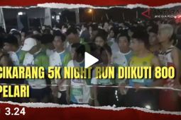 Cikarang 5K Night Run diikuti 800 pelari