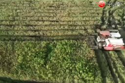 DPRD harapkan peralatan pertanian di Pematang Panjang dimaksimalkan