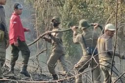 Tim gabungan Kabupaten PPU berhasil  padamkan dua lokasi karhutla