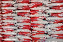 Bulog pastikan stok beras di Belitung cukup sampai akhir tahun 2023