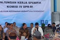 Anggota DPR RI sarankan Bangka tangani pendangkalan di muara
