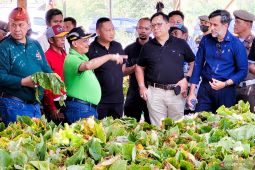 Pemkab Situbondo fasilitasi petani tembakau bertemu pembeli