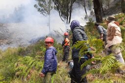 BNPB: Karhutla di Bukit Teletubbies Gunung Bromo sudah padam