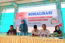 Rejang Lebong proyek percontohan nasional rumah pangan B2SA