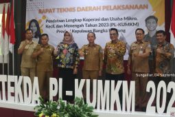 BPS Babel gelar pendataan lengkap  wujudkan data tunggal KUMKM
