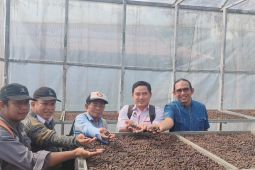 Kopi Liberika Kayong Utara didaftarkan indikasi geografis