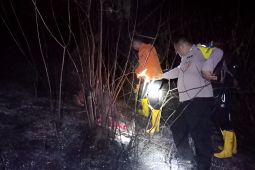 BPBD Sulteng upaya padamkan titik api kebakaran lahan di Kabupaten Banggai