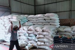 Bulog Rejang Lebong siapkan beras program bantuan sosial CPP