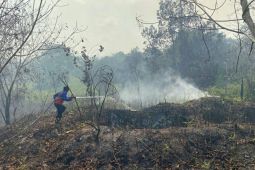 BMKG Balikpapan: Titik panas di Kaltim turun dari 406 menjadi 129 titik