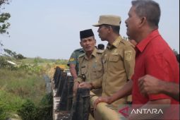 Suganda ingin wujudkan ketahanan pangan Babel melalui potensi Desa Batu Betumpang