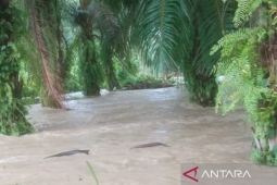 Tujuh kecamatan terendam banjir di Aceh Utara, begini penjelasannya