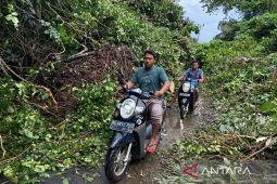 Sabang butuh Rp20 miliar untuk pembebasan lahan bangun jalan ke destinasi wisata