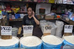 Pedagang: Harga beras di Medan  masih tinggi