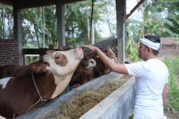 Kenaikan dana desa harus dibarengi pengembangan desa, kata anggota DPR RI