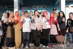 Ketua TP PKK Babel minta perkuat peran kader tuntaskan masalah anak dan ibu hamil