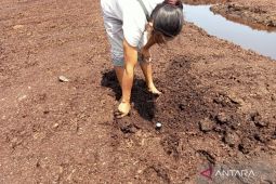 Mukomuko fasilitasi petani organik raih sertifikat prima