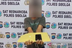 Polisi tangkap laki-laki pemilik sabu di Sibolga