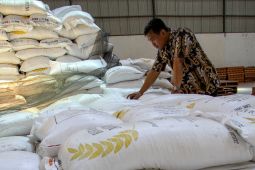 Pemerintah menyalurkan sekitar 210 ribu ton bantuan beras setiap bulan