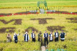 Khofifah buka temu lapang penerapan Manajemen Tanaman Sehat di Mojokerto