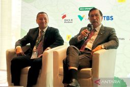 Luhut: Indonesia punya 3.600 gigawatt energi terbarukan