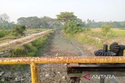 Pemkab Bekasi minta Perum Jasa Tirta II tambah debit air pada saluran irigasi