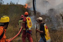 Kebakaran hutan Gunung Guntur Garut berhasil dipadamkan