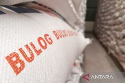 Bulog Cirebon: Serapan beras petani naik 32 persen